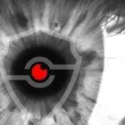 Entreprises 1 image OWS SECURITY GMBH Sicherheitsfirmen dans Thun BE