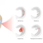 Immagine 5 azienda PHYSIOTHERAPIE HEINIGER UND PSYCHOLOGISCHE KÖRPERARBEIT Ärzte in Zurich ZH