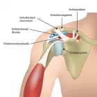 Immagine 12 azienda PHYSIOTHERAPIE HEINIGER UND PSYCHOLOGISCHE KÖRPERARBEIT Ärzte in Zurich ZH