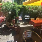 Entreprises 3 image RESTAURANT TRAUBE Schweizerisches Restaurant dans St. Gallen SG