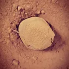 Unternehmen 14 Bild RISTORANTE FRESCO Italienische Restaurants am Lugano TI