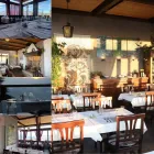 Unternehmen 2 Bild RISTORANTE PICCOLO VIGNETO Italienische Restaurants am Viganello TI