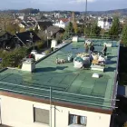 Immagine 5 azienda RÜEDI DACH AG Zimmerarbeiten, Holzbauarbeiten in Zurich ZH