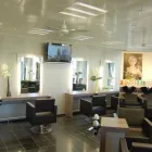 Unternehmen 17 Bild SALZMANN HAIR GROUP ZÜRICH AG Kosmetik/Körperpflege am Zurich ZH