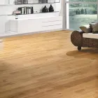 Entreprises 4 image SANEO SA Bauunternehmen dans Carouge GE