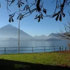Entreprises 3 image SAXER IMMOBILIEN & VERWALTUNGEN Immobilien-Makler dans Thun BE