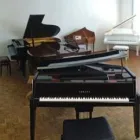 Immagine 2 azienda SCHEU PIANO-SERVICE Musikschulen, Gesangsschulen in Zurich ZH