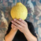 Entreprises 4 image SCHWARZES SCHAF - BISTROLINO & BAR Hotel-/Gastronomiegewerbe dans Zurich ZH