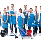 Unternehmen 3 Bild SENIOREN-UNTERHALTSREINIGUNG GMBH Umzugsunternehmen am Zurich ZH