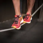 Entreprises 4 image SPORT PHYSIOTHERAPIE HALLE 41 ZÜRICH Ärzte dans Zurich ZH