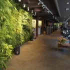 Immagine 5 azienda SPORTS REHAB ASS SAGL Ärzte in Lugano TI