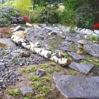 Immagine 1 azienda STROTZ GARTENBAU AG Land-/Forstwirtschaft/Fischerei in Zürich ZH