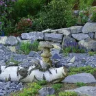 Immagine 4 azienda STROTZ GARTENBAU AG Land-/Forstwirtschaft/Fischerei in Zürich ZH