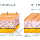 Unternehmen 4 Bild STUDIO DI MEDICINA ESTETICA DR. MED. MONIQUE WORTELBOER Ärzte am Lugano TI