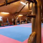 Unternehmen 7 Bild SUN WU GONGFU BASEL - OBERWIL - ZÜRICH Ärzte am Zurich ZH