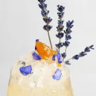 Unternehmen 12 Bild SUPER OFFICINE Hotel-/Gastronomiegewerbe am Lugano TI