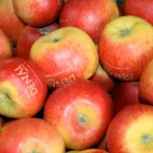 Entreprises 7 image SWISS DENTAL CENTER Ärzte dans Zurich ZH