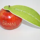 Entreprises 6 image SWISS DENTAL CENTER Ärzte dans Zurich ZH