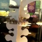 Immagine 14 azienda THE CATERING - DELIVERING EMOTIONS GMBH Partyservice in Rorbas ZH