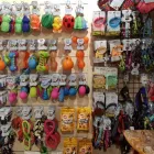 Unternehmen 7 Bild THE STORE Zoohandlungen am Lugano TI