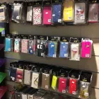 Unternehmen 12 Bild THE STORE Zoohandlungen am Lugano TI