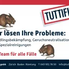 Immagine 2 azienda TUTTIFIX GMBH Schädlingsbekämpfungsunternehmen in Zürich ZH