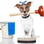 Unternehmen 7 Bild VALE SERVICES SAGL Umzugsunternehmen am Lugano TI