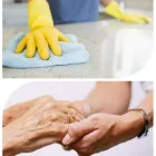 Unternehmen 12 Bild VALE SERVICES SAGL Umzugsunternehmen am Lugano TI