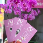 Entreprises 2 image VANVALDIS BEAUTY-ATELIER GMBH Maniküresalons dans Zurich ZH