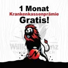 Immagine 1 azienda WILLIAM FINANZ GMBH Versicherungswesen in Zürich ZH