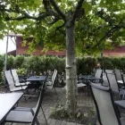 Immagine 1 azienda WIRTSCHAFT UNTERDORF Hotel-/Gastronomiegewerbe in Zürich ZH