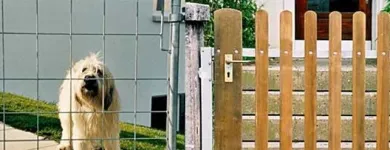 Immagine 1 azienda A - ZÄUNE GMBH Metallbauarbeiten, Schlosserarbeiten in Opfikon ZH