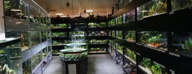 Entreprises 3 image AQUARIUM SEEROSE, ZOOFACHGESCHÄFT S. LEUCH Zoohandlungen dans Zurich ZH