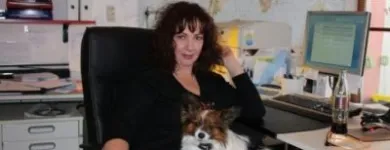 Entreprises 4 image ASS ALTHAUS STELLENVERMITTLUNG Personalvermittlung dans Thun BE