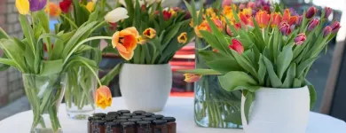 Unternehmen 8 Bild BLAUE ENTE Hotel-/Gastronomiegewerbe am Zurich ZH