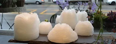 Entreprises 8 image BLUMEN ART Garten/Pflanzen dans Zurich ZH