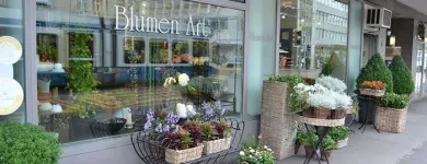 Entreprises 12 image BLUMEN ART Garten/Pflanzen dans Zurich ZH