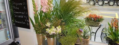 Entreprises 7 image BLUMEN ART Garten/Pflanzen dans Zurich ZH