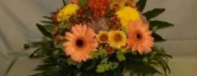 Immagine 8 azienda BLUMEN JAKOB Garten/Pflanzen in Zürich ZH