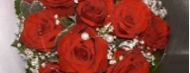 Immagine 3 azienda BLUMEN JAKOB Garten/Pflanzen in Zürich ZH