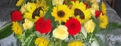 Immagine 5 azienda BLUMEN JAKOB Garten/Pflanzen in Zürich ZH