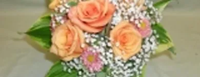 Immagine 6 azienda BLUMEN JAKOB Garten/Pflanzen in Zürich ZH