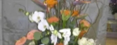 Immagine 7 azienda BLUMEN JAKOB Garten/Pflanzen in Zürich ZH