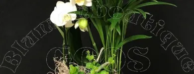 Entreprises 4 image BLUMENBOUTIQUE GOOS Nahrungs-/Genussmittel dans Zürich ZH