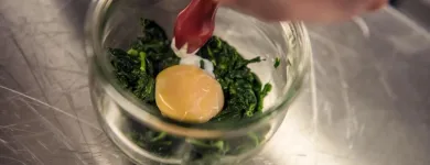 Entreprises 1 image BRASSERIE FREILAGER Hotel-/Gastronomiegewerbe dans Zürich ZH