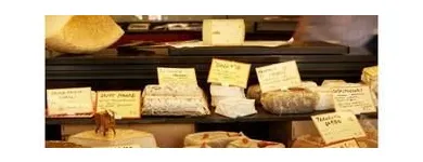 Unternehmen 3 Bild CHÄS+BROT WOLLISHOFEN GMBH Weinkellereien am Zürich ZH