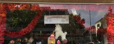 Entreprises 1 image DOG & MORE Tiersalons dans Zurich ZH