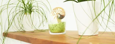 Immagine 6 azienda DR. MED. DENT. ANKE BENOIT Ärzte in Zürich ZH