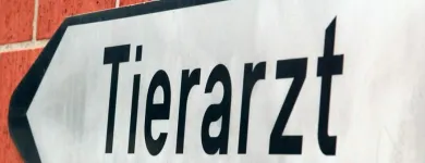 Immagine 2 azienda DR. MED. VET. FILIPPO BENTIVOGLIO Ärzte in St. Gallen SG