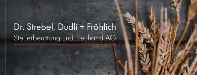 Entreprises 4 image DR. STREBEL, DUDLI + FRÖHLICH STEUERBERATUNG UND TREUHAND AG Treuhänder, Treuhandgesellschaften dans Zürich ZH